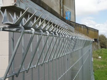 security compound wall design