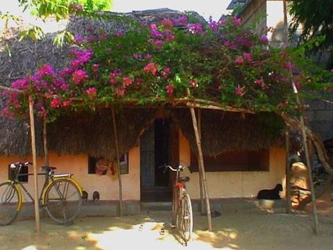 tamil nadu village homes design