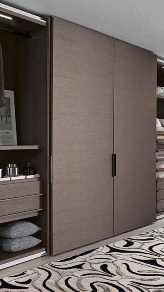 Wardrobe Design in Wall