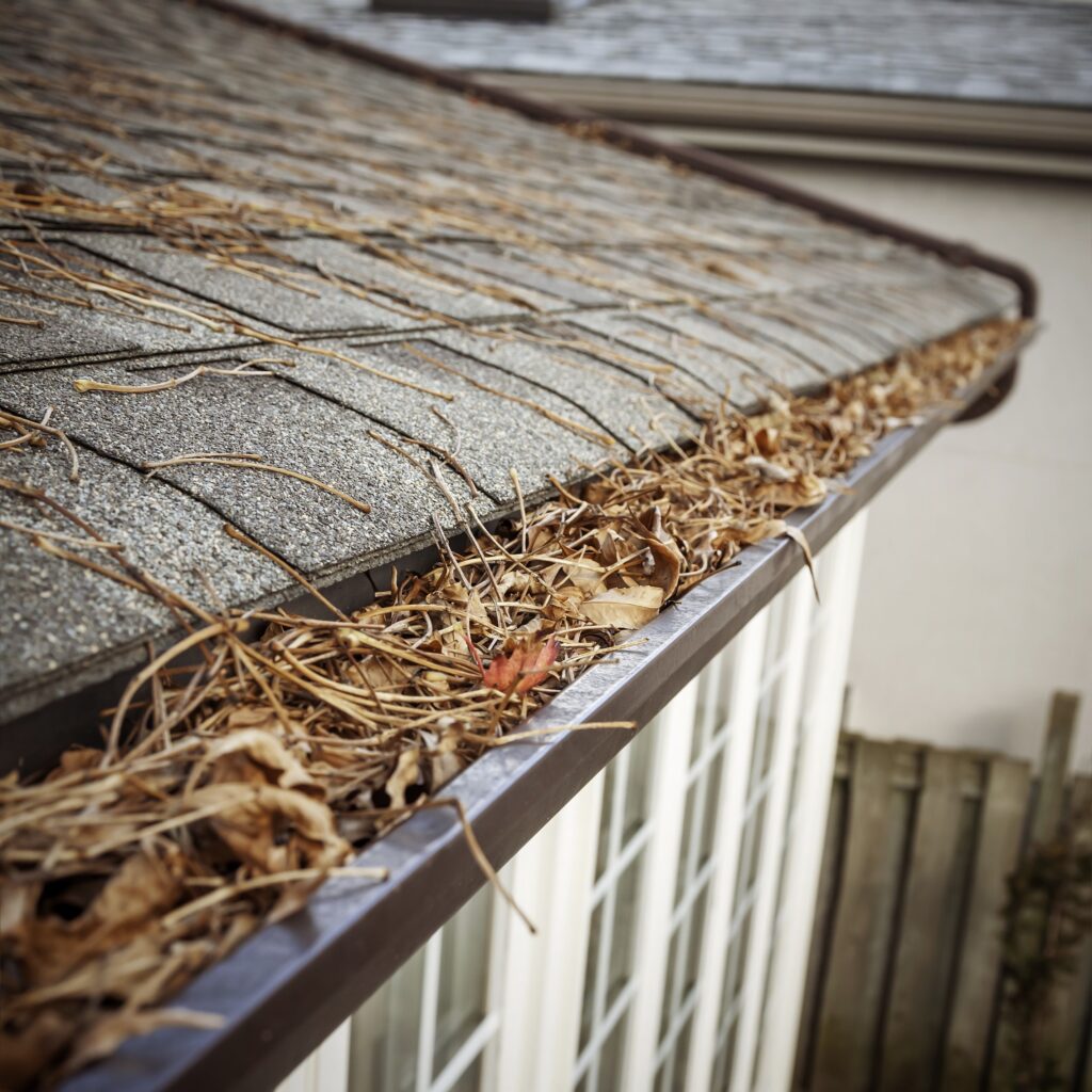 Roof Leak Repair