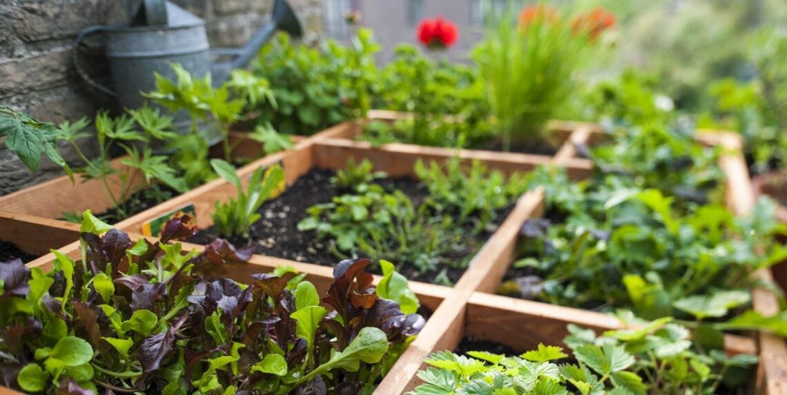 15 Inexpensive Raised Garden Bed Ideas You Can Easily DIY