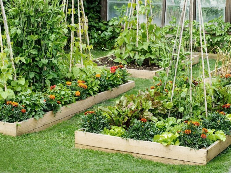 15 Inexpensive Raised Garden Bed Ideas You Can Easily DIY