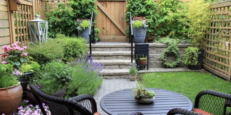 10 Stunning Budget Small Garden Ideas!!