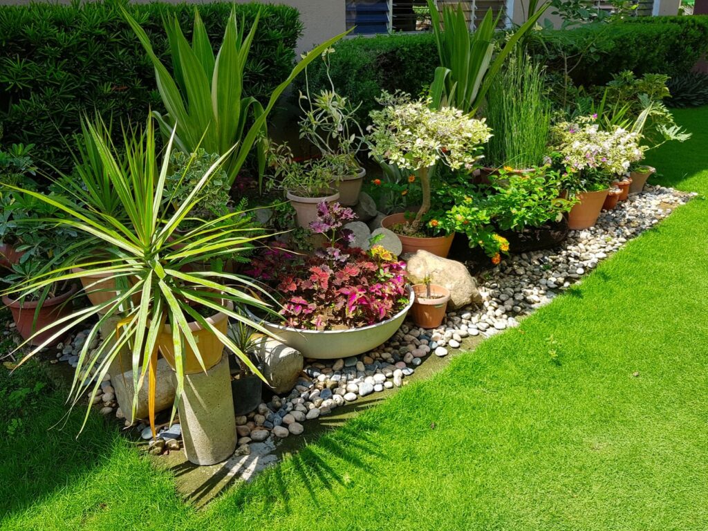 21 Tried and Tested Low Budget Small Garden Ideas