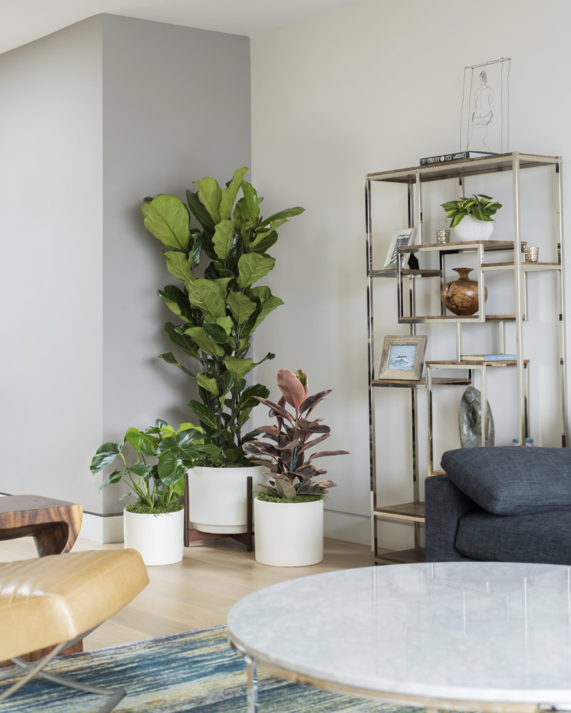 How To Arrange Plants In Living Room
