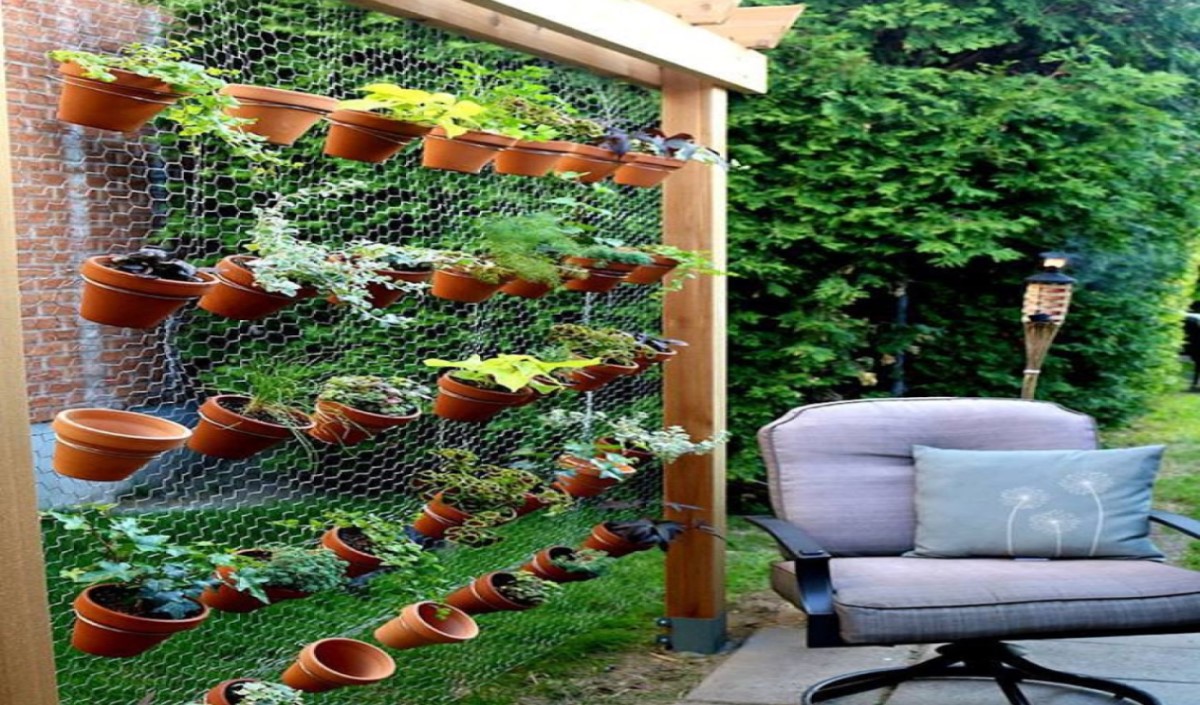 11 Easy Small Backyard Ideas on a Budget