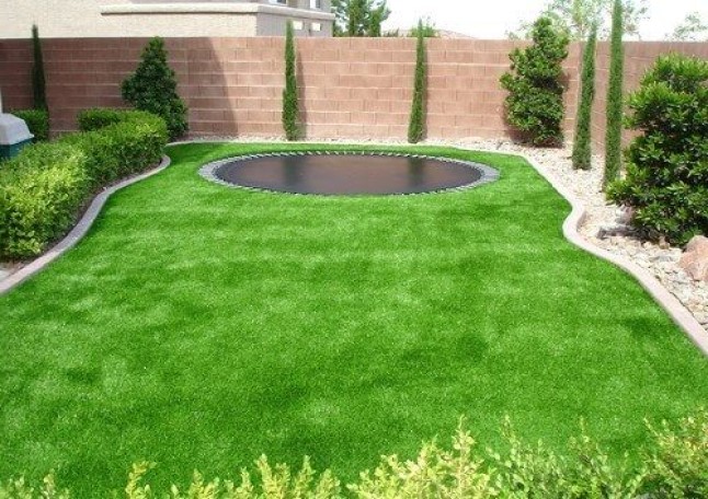 Small Backyard Turf Idea