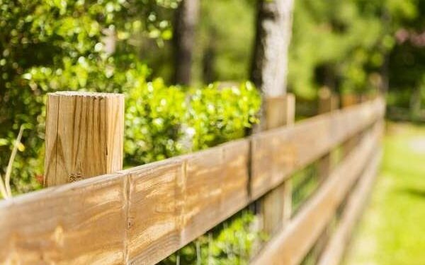 13 Cheap Privacy Fence Ideas