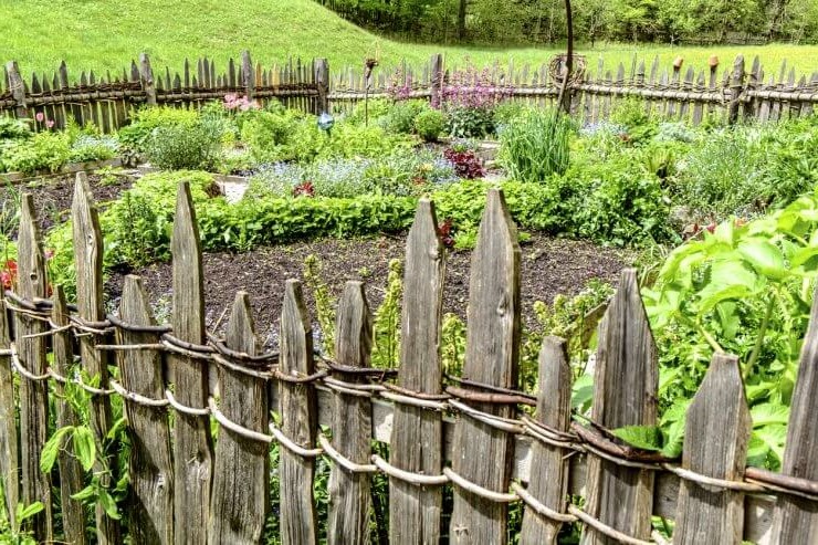 Vegetable Garden Fence Ideas