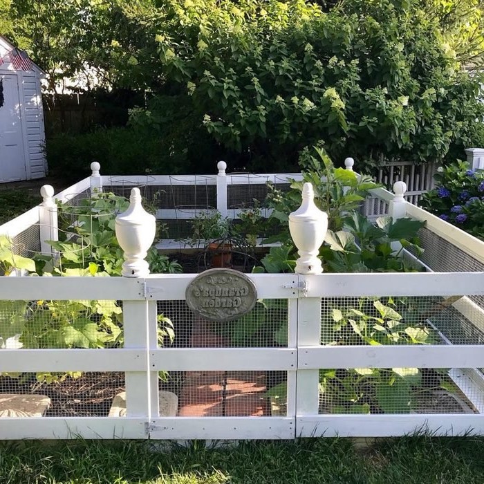 Vegetable Garden Fence Ideas to Keep Furries Out
