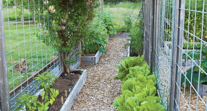 7 Vegetable Garden Fence Ideas to Keep Furries Out
