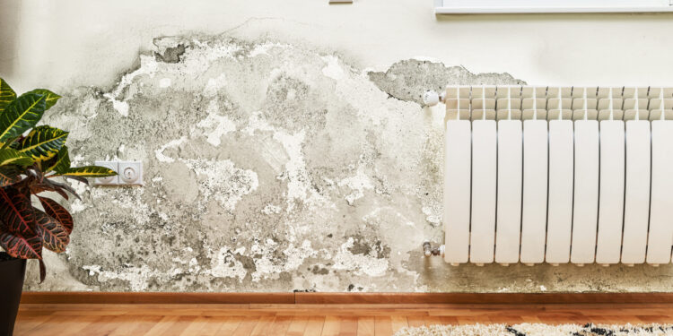 How to dry walls after water damage