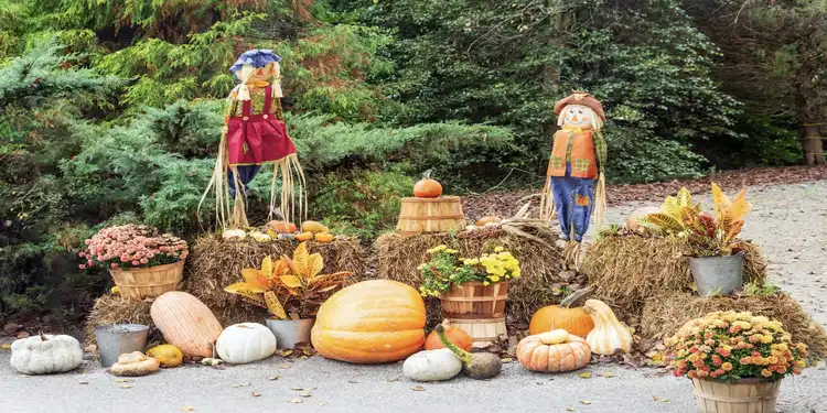 Easy Fall Home Decor Ideas To Celebrate The Perfect Thanksgiving!