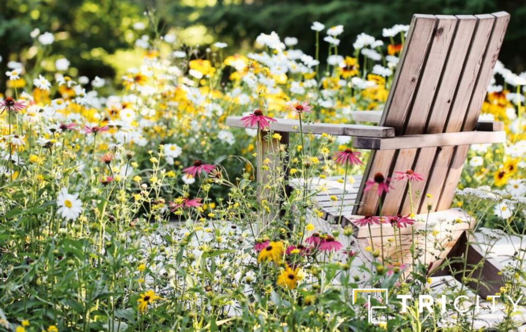 Create a Wildflower Yard For Cheap No Grass Backyard Ideas