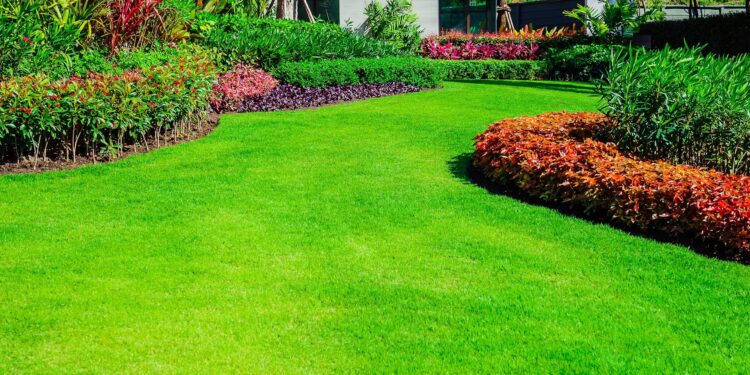 What Are Different Lawn And Flower Bed Maintenance Services