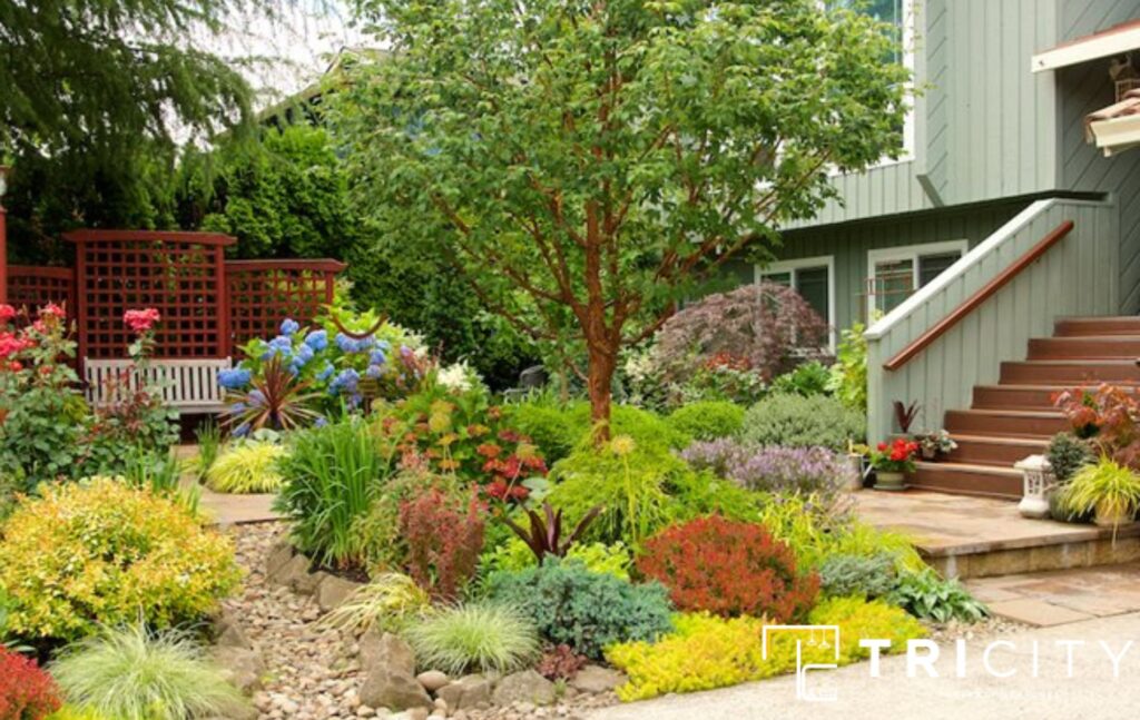 Garden Design For Low Maintenance Modern Front Yard Landscaping Ideas 