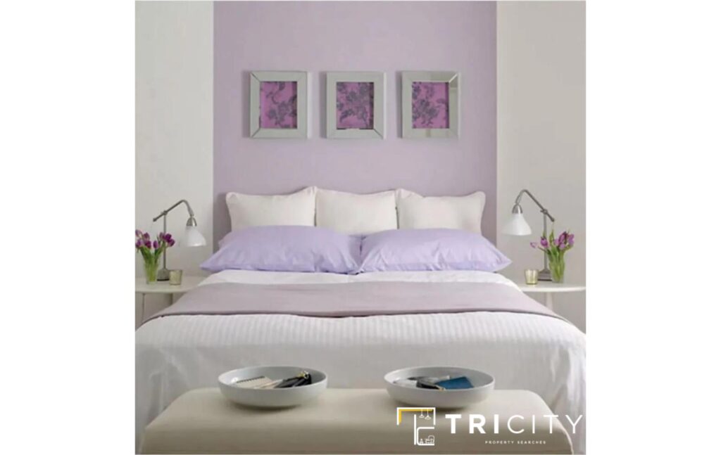 Grey and purple two color combination for bedroom