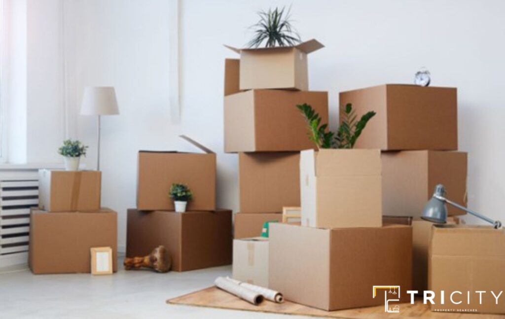 How To Organize A Seamless Move In 2023