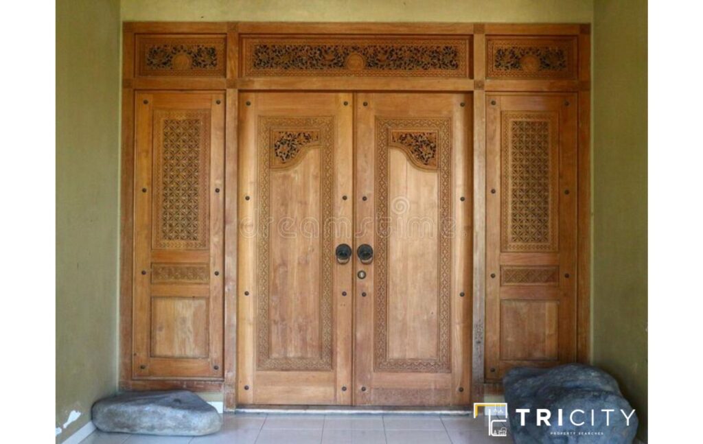 Double Door Indian Main Door Designs