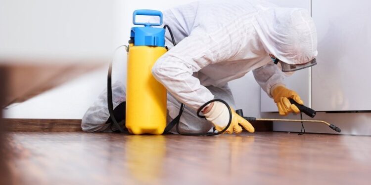 How to Choose the Perfect Flooring for Pest Prevention