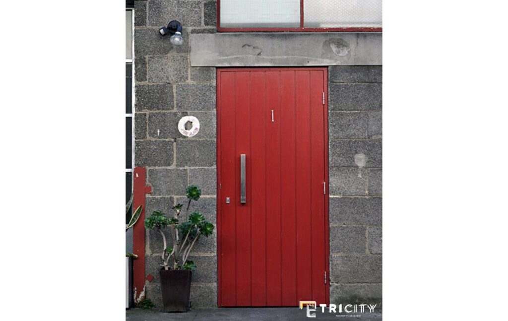 Red Designer Main Doors