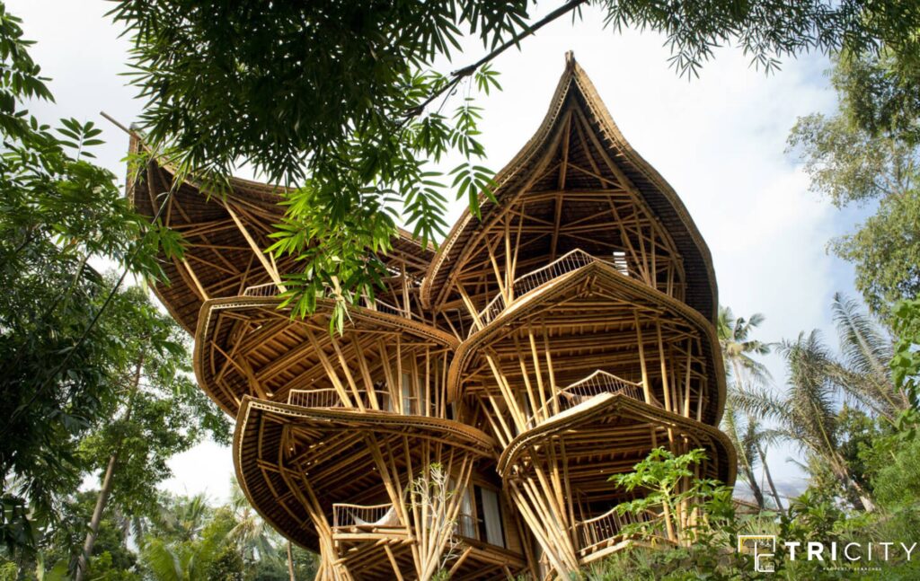Low Cost Bamboo House Design