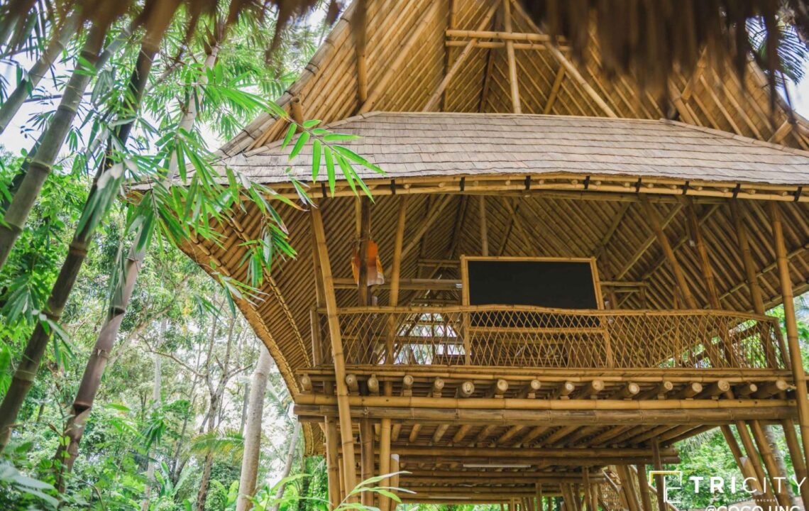 Low Cost Bamboo House Design - All You Need To Know!