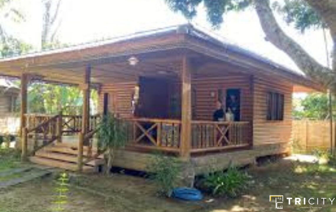 Low Cost Bamboo House Design - All You Need To Know!