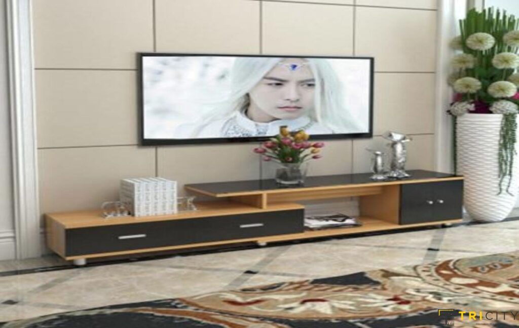 Contemporary wood TV showcase design