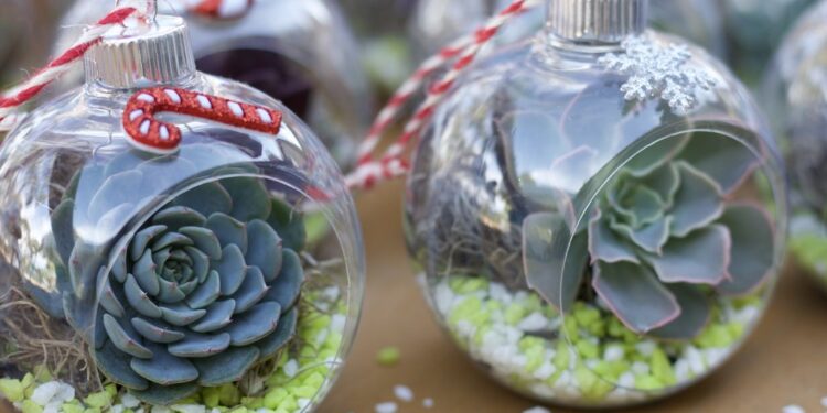 Unleash Your Inner Green Thumb: Holiday Succulent Crafting Ideas