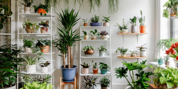 The Best Eco-Friendly Home Decor Ideas For 2023