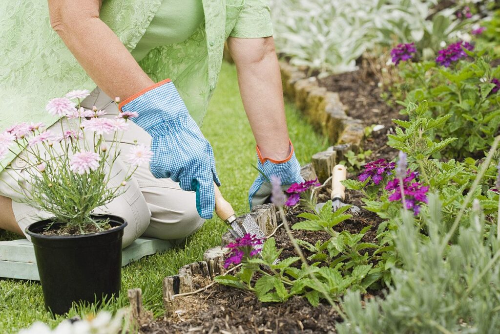 Benefits-of-Flower-Gardening